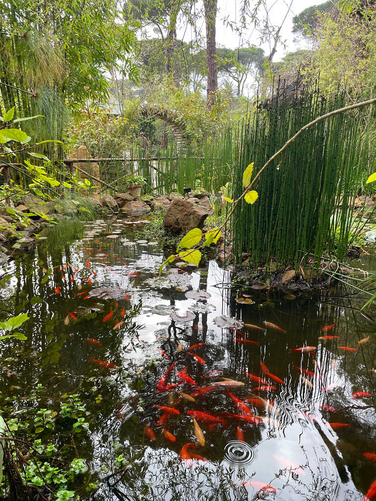 Jardin chinois dans le jardin botanique Donabo gardens à Tanger.